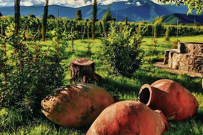Private Tour From Tbilisi to Kakheti Sighnaghi with Wine Tasting - The Value of This Tour