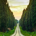Private Tour from the Port of Livorno to Bolgheri - Exploring the Heart of Bolgheri: An In-Depth Review