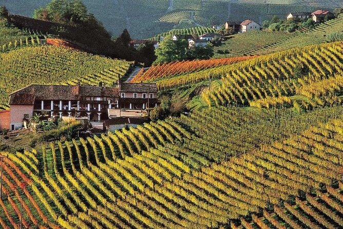 Private tour from Turin: Full day Langhe Region with its Colors and Flavors - Exploring the Langhe Region: What to Expect