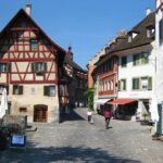 Private tour from Zurich to Rhine Falls and Stein am Rhein - Transportation and Comfort