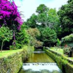 Private tour Full Day Furnas 1 to 4 people - Lagoa das Furnas: Witnessing the Cozido and Scenic Lake