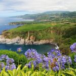 Private Tour Furnas Lake & Hot Springs - Why This Tour Offers Great Value