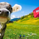 Private tour Geneva-Gruyère's: chocolate and cheese factory - What Makes This Tour Stand Out?