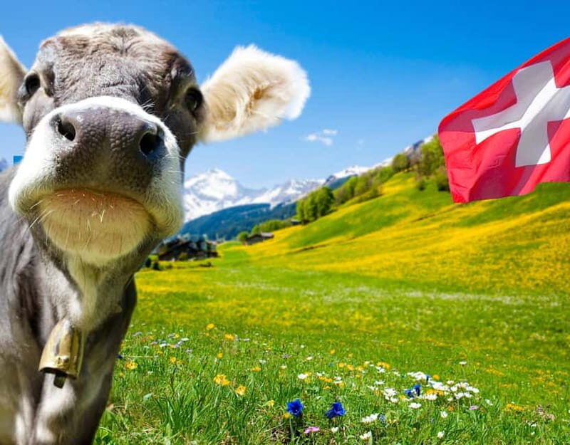 Private tour Geneva-Gruyère's: chocolate and cheese factory - What Makes This Tour Stand Out?