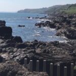 Private Tour - Giants Causeway & 2 Stop Tour - Exploring the Northern Irish Highlights: In-Depth Review