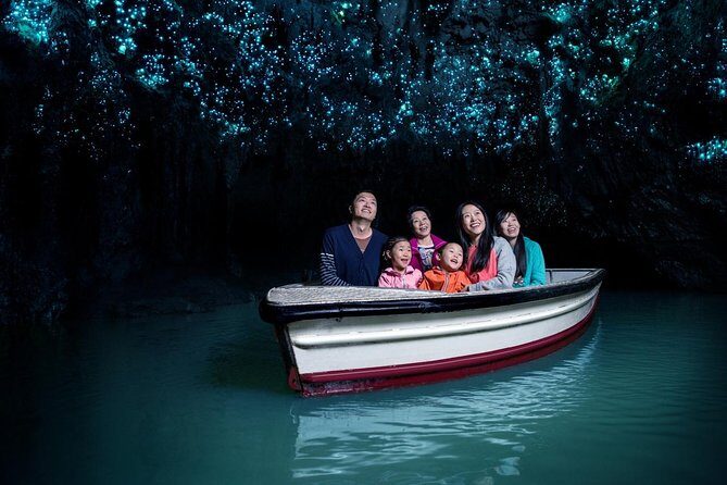Private Tour: Hobbiton & Waitomo Glowworm Cave Experience - Who Will Appreciate This Tour?