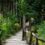 Private Tour: Hot spings & Sleeping Giant Garden hiking Adventure - Authentic Experiences and Honest Feedback