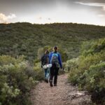 Private Tour in Arrabida Region - Discovering the Arrábida Region: An In-Depth Guide