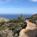 Private Tour in Chania Monasteries - A Deep Dive into the Chania Monastery Experience