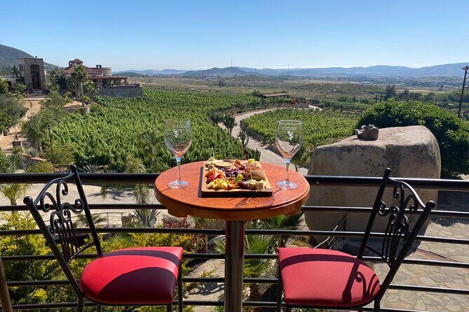 Private Tour in Guadalupe Valley, Vine Yards & Wine Route ENS MX - Why This Tour Stands Out