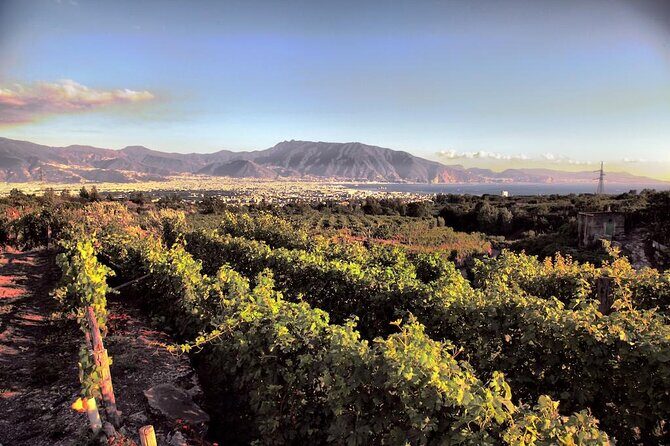 Private Tour in Pompeii Ruins and Pompeii City Center Winery - Who Should Book This Tour?