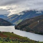 Private Tour in the Douro with Family Vineyards and Miradouro - Exploring the Douro Private Tour: An Authentic Journey
