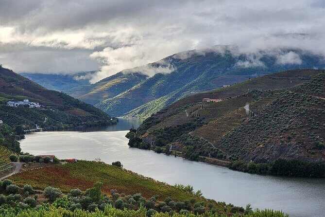 Private Tour in the Douro with Family Vineyards and Miradouro - Exploring the Douro Private Tour: An Authentic Journey
