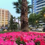 Private Tour in zmir - Who Will Love This Tour?
