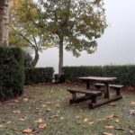 Private Tour Jardim da Serra Halfday - Practical Details and What You Need to Know