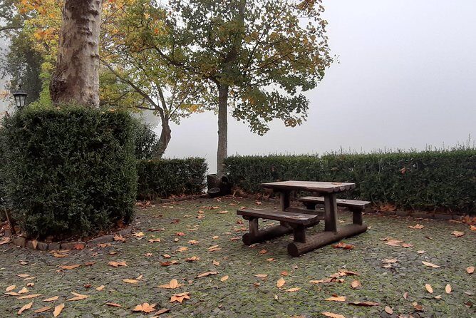 Private Tour Jardim da Serra Halfday - Practical Details and What You Need to Know