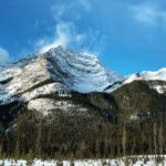 PRIVATE TOUR: Kananaskis Safari Drive and Guided Nature Walk 4H - Who Will Love This Tour?