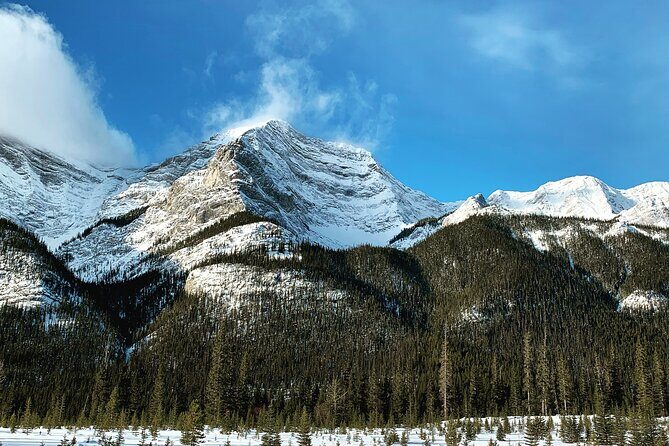 PRIVATE TOUR: Kananaskis Safari Drive and Guided Nature Walk 4H - Who Will Love This Tour?