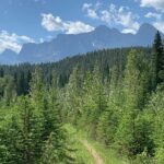 Private Tour: Majestic Mountains PHOTO SAFARI Drive - 4H - What the Tour Includes and Why It Matters