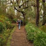 Private Tour: Mini Combo Expedition (Jeep tour & Levada Walk) - Thursday - Authentic Traveler Perspectives