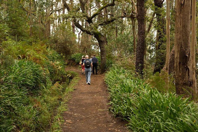Private Tour: Mini Combo Expedition (Jeep tour & Levada Walk) - Thursday - Authentic Traveler Perspectives
