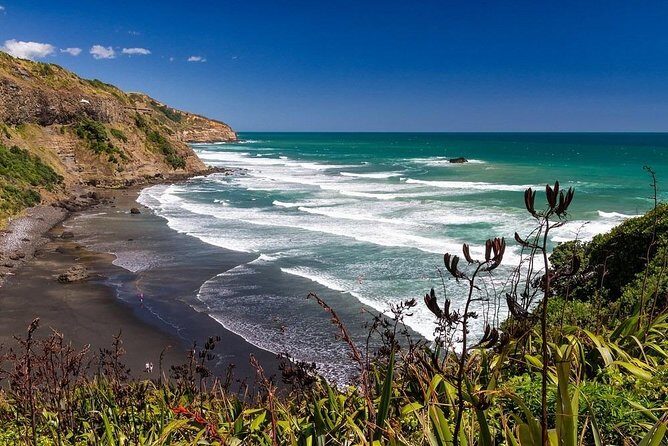 Private Tour - Muriwai Beach & Wine Tasting - Who Is This Tour Best For?