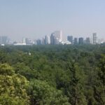 Private Tour Museum of Anthropology and Chapultepec Castle. - Who Should Book This Tour?