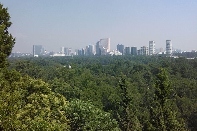 Private Tour Museum of Anthropology and Chapultepec Castle. - Who Should Book This Tour?