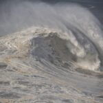 Private Tour - Nazaré Waves and Village from Lisbon - What Travelers Say
