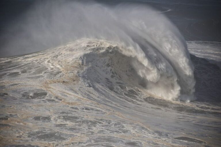 Private Tour - Nazaré Waves and Village from Lisbon - What Travelers Say