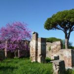 Private Tour of Ancient Ostia with Exclusive Guide and Skip-the-line Tickets - Authentic Experiences and Authenticity