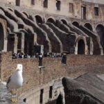 Private tour of Colosseo - A Detailed Look at the Tour Experience