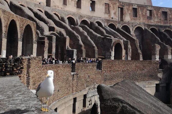 Private tour of Colosseo - A Detailed Look at the Tour Experience