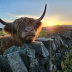 Private Tour of Highlands, Oban, Glencoe, Lochs & Castles - Frequently Asked Questions