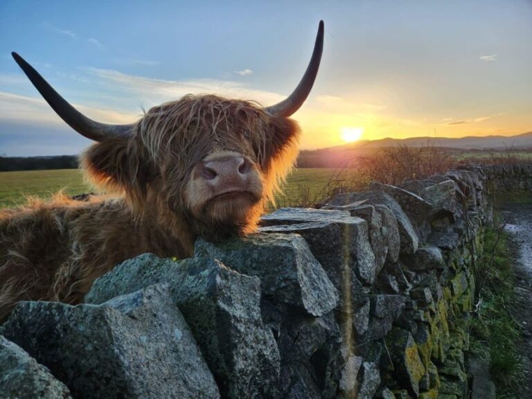 Private Tour of Highlands, Oban, Glencoe, Lochs & Castles - Frequently Asked Questions
