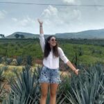 Private Tour of Magic Town Tequila Adventure Day Tour - Who Will Love This Tour?