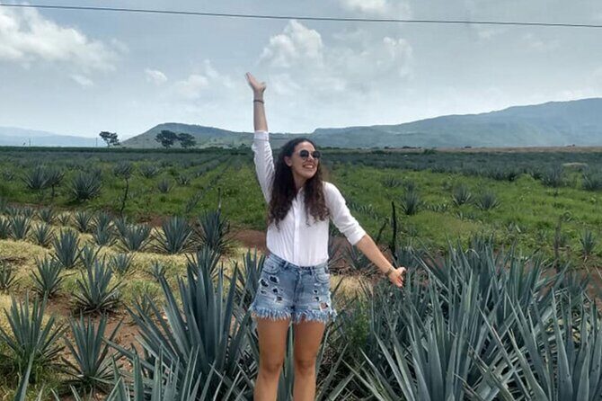 Private Tour of Magic Town Tequila Adventure Day Tour - Who Will Love This Tour?