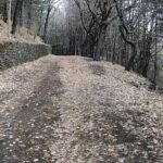 Private tour of Mount Etna and the Alcantara Gorges - Frequently Asked Questions