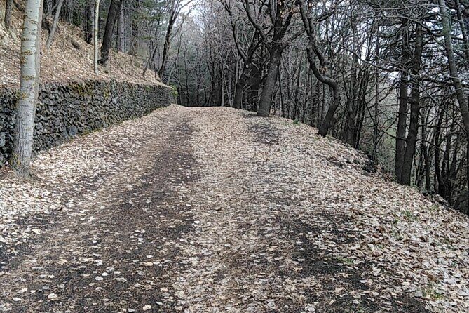 Private tour of Mount Etna and the Alcantara Gorges - Frequently Asked Questions