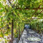 Private tour of Pompeii Ruins, Organic Wine tasting and Lunch - Frequently Asked Questions