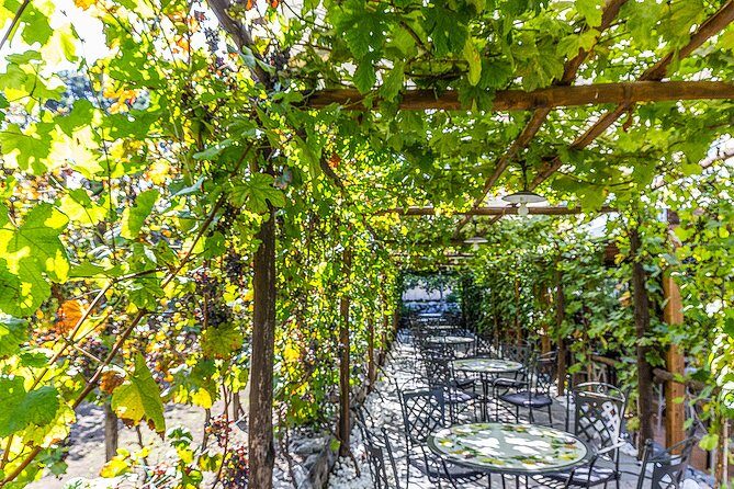 Private tour of Pompeii Ruins, Organic Wine tasting and Lunch - Frequently Asked Questions