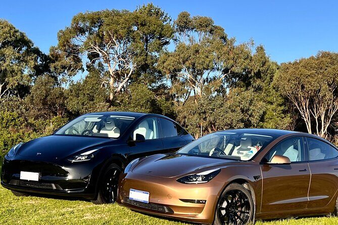 Private Tour of Rojina's Fleurieu in McLaren Vale - Detailed Review: Why This Tour Stands Out