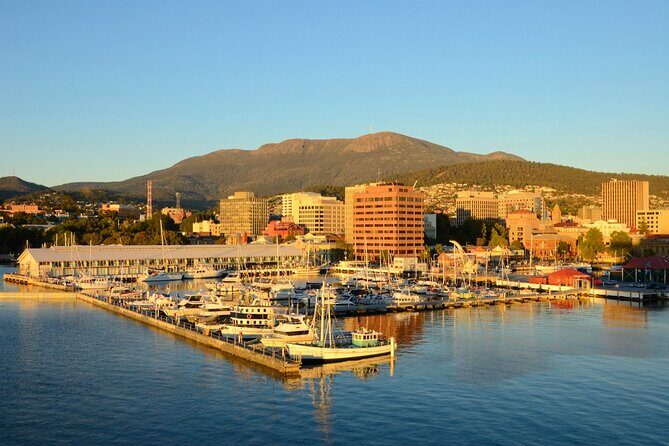 Private Tour of Tahune Airwalk and Hastings Caves from Hobart - Final Thoughts: Is This Tour Right for You?