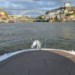 Private Tour of the 6 Bridges with Port Wine - A Deep Dive into the Porto Bridges & Douro River Private Tour