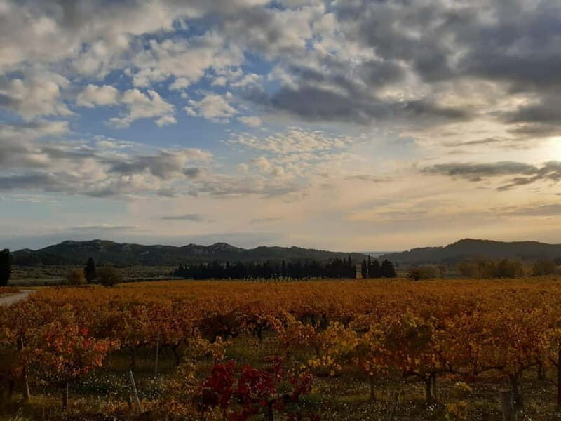 Private tour of the Alpilles, wine tastings, and local restaurant - Exploring the Itinerary in Detail