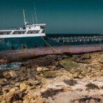 Private Tour of the Maltese Island (Private Driver) - Natural Beauty and Iconic Views