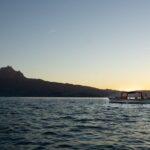 Private tour on Lake Lucerne from Weggis - Who Is This Tour Best For?