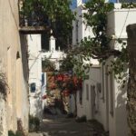 Private Tour on Paros Island - Who Will Love This Tour?