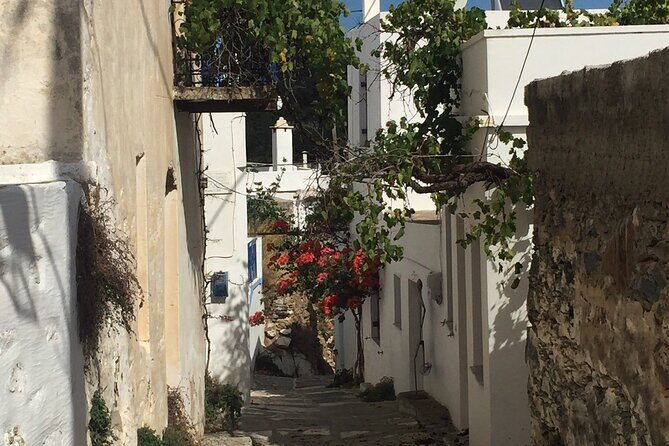 Private Tour on Paros Island - Who Will Love This Tour?