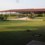 Private Tour: Paestum, Mozzarella Bufala guided tour and lunch - Final Thoughts